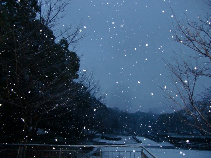 大阪の積雪